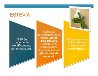 ESTEVIA
1899 Se
documenta
científicamente
por primera vez.
Molécula
proveniente de la
planta Stevia
Rebaudiana
Bertoni. Los
componentes
dulces se llaman
glucósidos de
esteviol.
Utilizada en mas
de 70 países y
cultivada en 4
continentes.
 
