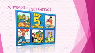 ACTIVIDAD 2

LOS SENTIDOS

 
