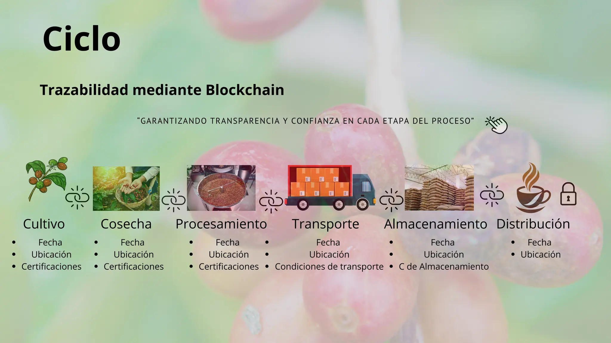 Ciclo
Trazabilidad mediante Blockchain
“GARANTIZANDO TRANSPARENCIA Y CONFIANZA EN CADA ETAPA DEL PROCESO”
Cultivo
Fecha
Ubicación
Certificaciones
Cosecha
Fecha
Ubicación
Certificaciones
Procesamiento
Fecha
Ubicación
Certificaciones
Transporte
Fecha
Ubicación
Condiciones de transporte
Almacenamiento
Fecha
Ubicación
C de Almacenamiento
Distribución
Fecha
Ubicación
 
