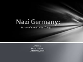 Various Concentration Camps Nazi Germany:  A.Young World History October 12, 2010 