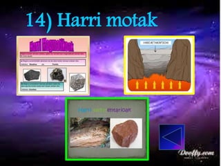 14) Harri motak
 