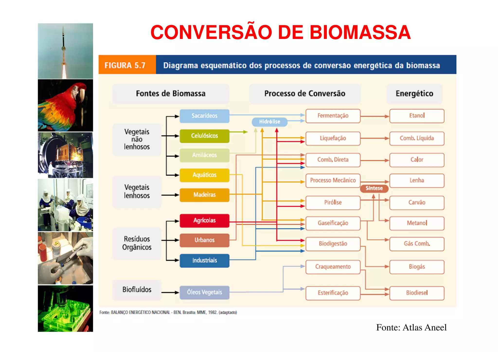 CONVERSÃO DE BIOMASSA




                  Fonte: Atlas Aneel
 