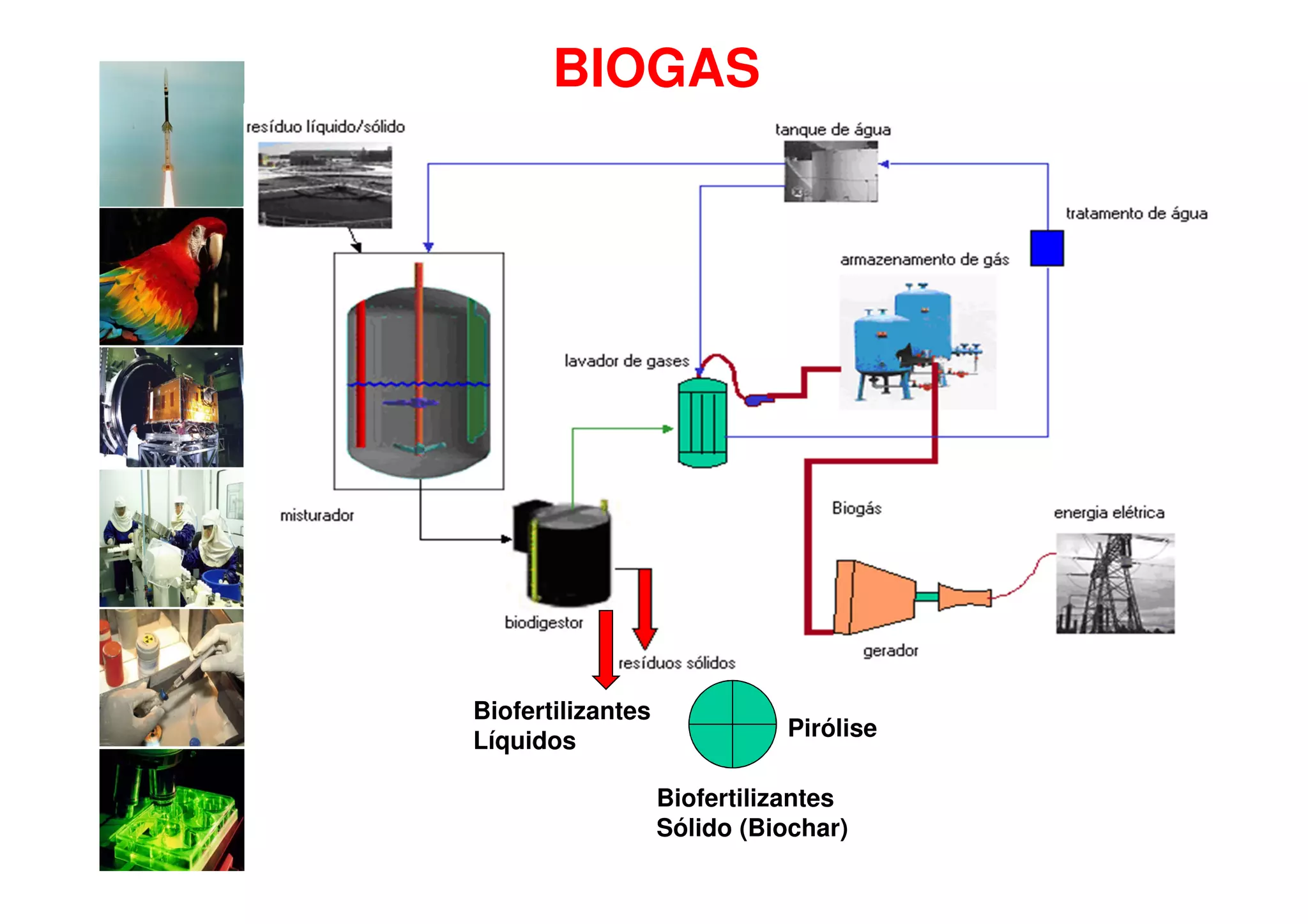 BIOGAS




Biofertilizantes
                             Pirólise
Líquidos

                   Biofertilizantes
                   Sólido (Biochar)
 