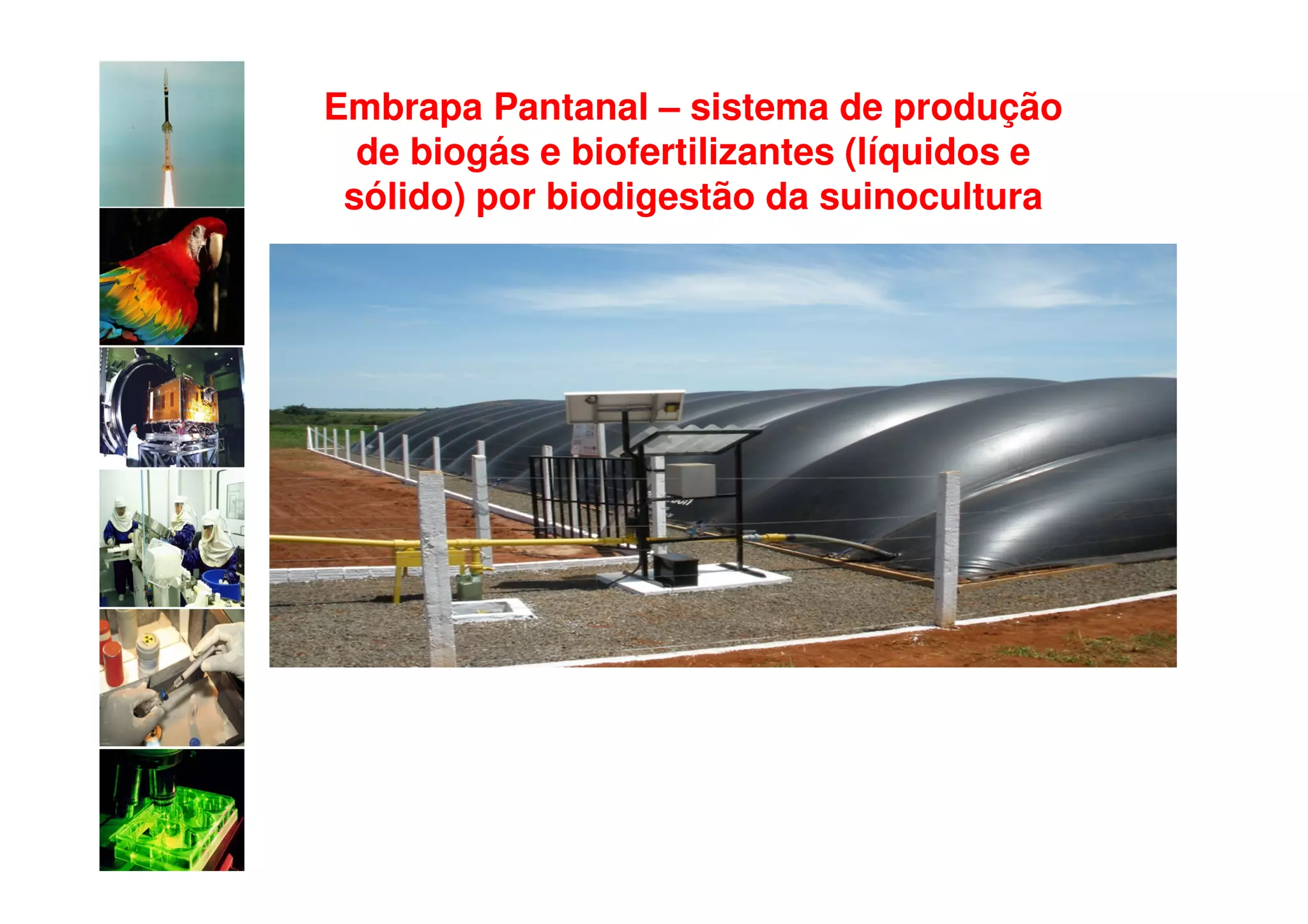 Embrapa Pantanal – sistema de produção
  de biogás e biofertilizantes (líquidos e
 sólido) por biodigestão da suinocultura
 