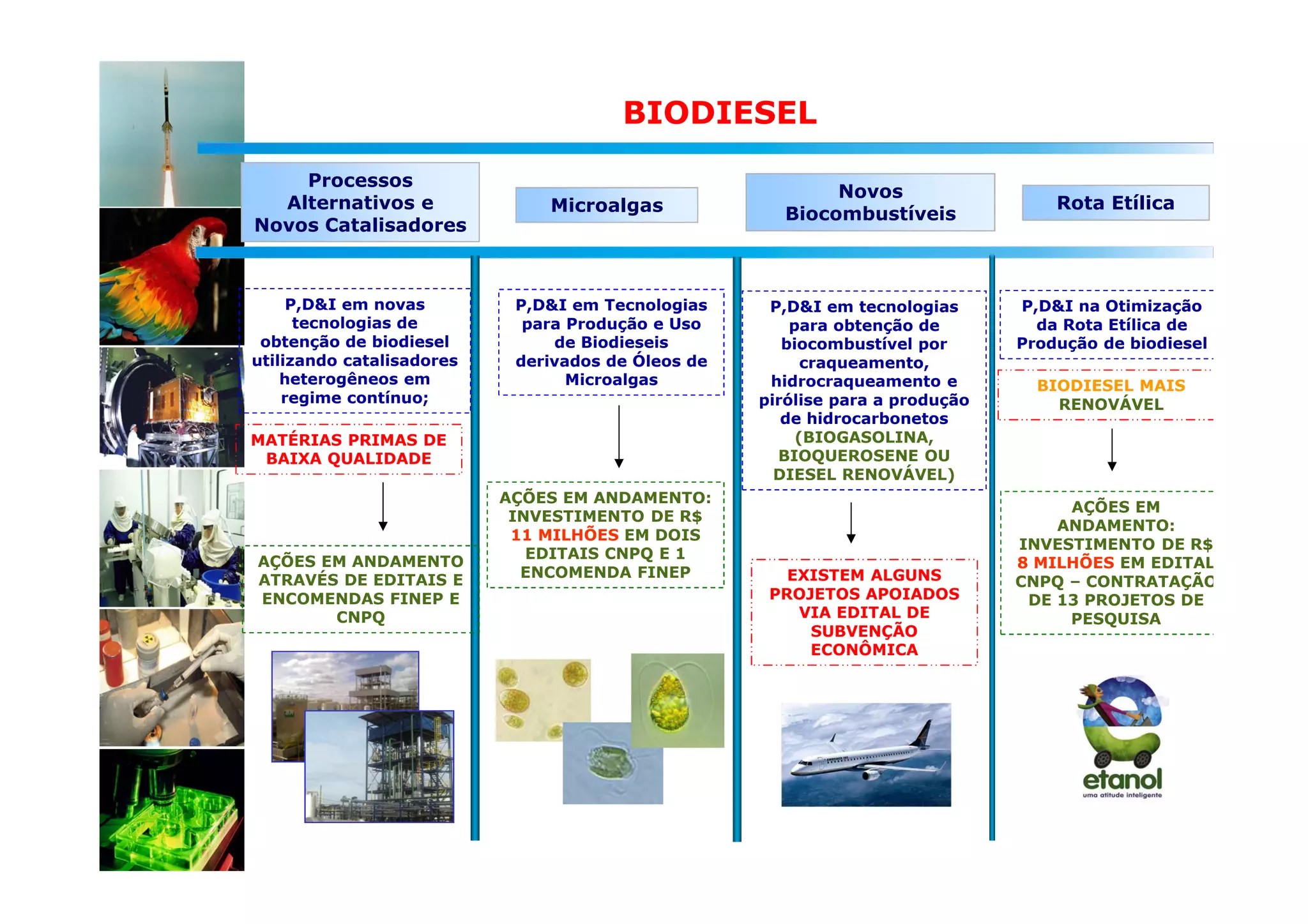 BIODIESEL

    Processos
                                                           Novos
  Alternativos e               Microalgas                                          Rota Etílica
                                                      Biocombustíveis
Novos Catalisadores



     P,D&I em novas         P,D&I em Tecnologias     P,D&I em tecnologias      P,D&I na Otimização
      tecnologias de         para Produção e Uso        para obtenção de         da Rota Etílica de
 obtenção de biodiesel          de Biodieseis          biocombustível por      Produção de biodiesel
utilizando catalisadores    derivados de Óleos de         craqueamento,
    heterogêneos em               Microalgas         hidrocraqueamento e         BIODIESEL MAIS
    regime contínuo;                                pirólise para a produção       RENOVÁVEL
                                                       de hidrocarbonetos
MATÉRIAS PRIMAS DE                                       (BIOGASOLINA,
 BAIXA QUALIDADE                                      BIOQUEROSENE OU
                                                      DIESEL RENOVÁVEL)
                           AÇÕES EM ANDAMENTO:
                                                                                    AÇÕES EM
                            INVESTIMENTO DE R$
                                                                                   ANDAMENTO:
                            11 MILHÕES EM DOIS
                                                                               INVESTIMENTO DE R$
                              EDITAIS CNPQ E 1
AÇÕES EM ANDAMENTO                                                             8 MILHÕES EM EDITAL
                             ENCOMENDA FINEP           EXISTEM ALGUNS
ATRAVÉS DE EDITAIS E                                                           CNPQ – CONTRATAÇÃO
ENCOMENDAS FINEP E                                   PROJETOS APOIADOS          DE 13 PROJETOS DE
       CNPQ                                             VIA EDITAL DE               PESQUISA
                                                         SUBVENÇÃO
                                                         ECONÔMICA
 
