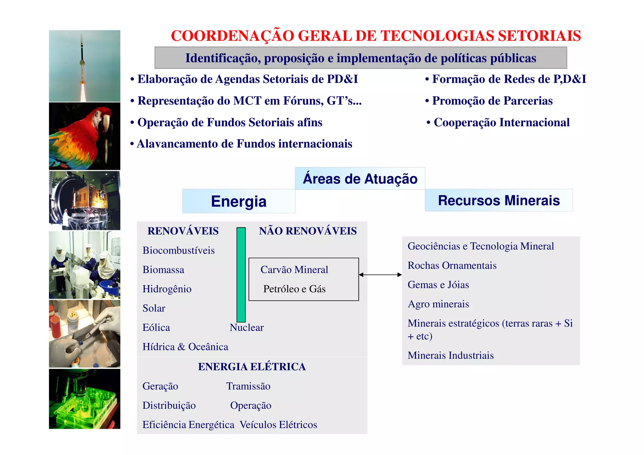 COORDENAÇÃO GERAL DE TECNOLOGIAS SETORIAIS
             Identificação, proposição e implementação de políticas públicas
• Elaboração de Agendas Setoriais de PD&I                • Formação de Redes de P,D&I
• Representação do MCT em Fóruns, GT’s...                • Promoção de Parcerias
• Operação de Fundos Setoriais afins                     • Cooperação Internacional
• Alavancamento de Fundos internacionais

                                      Áreas de Atuação
                  Energia                                  Recursos Minerais

   RENOVÁVEIS                NÃO RENOVÁVEIS
  Biocombustíveis                                   Geociências e Tecnologia Mineral

  Biomassa                   Carvão Mineral         Rochas Ornamentais

  Hidrogênio                 Petróleo e Gás         Gemas e Jóias

  Solar                                             Agro minerais

  Eólica               Nuclear                      Minerais estratégicos (terras raras + Si
                                                    + etc)
  Hídrica & Oceânica
                                                    Minerais Industriais
                 ENERGIA ELÉTRICA
  Geração            Tramissão
  Distribuição         Operação
  Eficiência Energética Veículos Elétricos
 