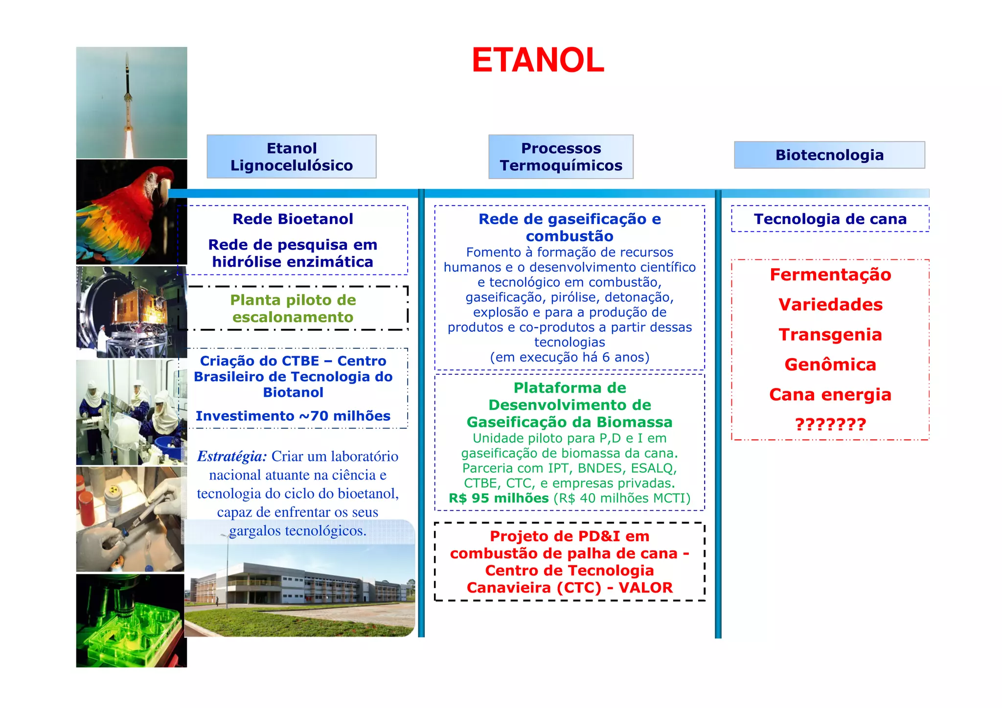 ETANOL

         Etanol                               Processos                        Biotecnologia
     Lignocelulósico                        Termoquímicos


     Rede Bioetanol                      Rede de gaseificação e              Tecnologia de cana
                                              combustão
 Rede de pesquisa em                   Fomento à formação de recursos
 hidrólise enzimática               humanos e o desenvolvimento científico
                                         e tecnológico em combustão,          Fermentação
     Planta piloto de                  gaseificação, pirólise, detonação,
                                        explosão e para a produção de          Variedades
     escalonamento
                                    produtos e co-produtos a partir dessas
                                                  tecnologias                  Transgenia
 Criação do CTBE – Centro                  (em execução há 6 anos)
                                                                                Genômica
Brasileiro de Tecnologia do
          Biotanol                           Plataforma de
                                                                              Cana energia
                                         Desenvolvimento de
Investimento ~70 milhões
                                       Gaseificação da Biomassa                  ???????
                                       Unidade piloto para P,D e I em
Estratégia: Criar um laboratório     gaseificação de biomassa da cana.
                                     Parceria com IPT, BNDES, ESALQ,
  nacional atuante na ciência e
                                      CTBE, CTC, e empresas privadas.
tecnologia do ciclo do bioetanol,   R$ 95 milhões (R$ 40 milhões MCTI)
   capaz de enfrentar os seus
     gargalos tecnológicos.             Projeto de PD&I em
                                    combustão de palha de cana -
                                        Centro de Tecnologia
                                      Canavieira (CTC) - VALOR
 
