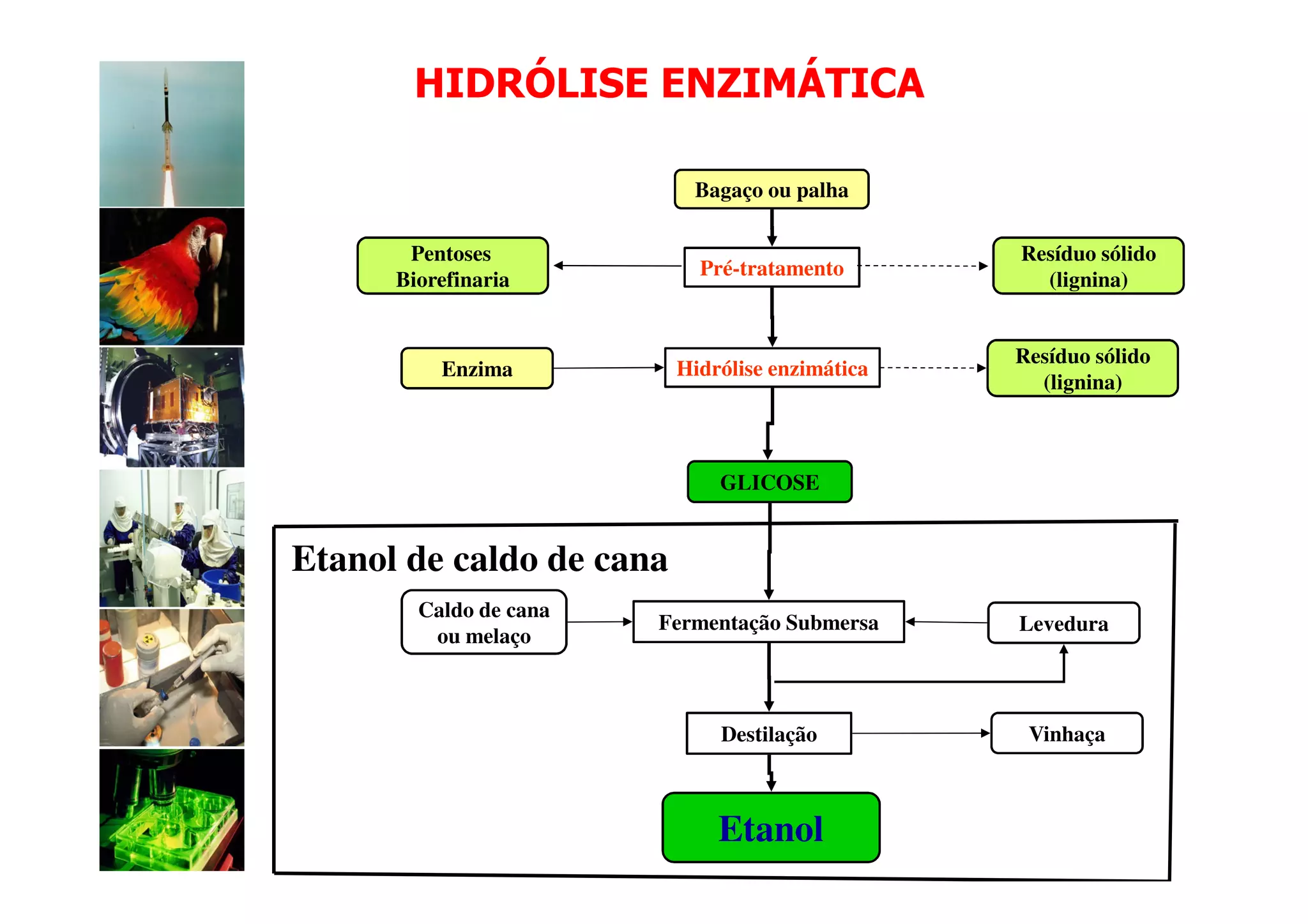 HIDRÓLISE ENZIMÁTICA

                           Bagaço ou palha

       Pentoses                                  Resíduo sólido
                            Pré-tratamento
      Biorefinaria                                 (lignina)


                                                 Resíduo sólido
          Enzima          Hidrólise enzimática
                                                   (lignina)



                              GLICOSE


Etanol de caldo de cana
        Caldo de cana
                        Fermentação Submersa     Levedura
         ou melaço



                              Destilação          Vinhaça



                              Etanol
 