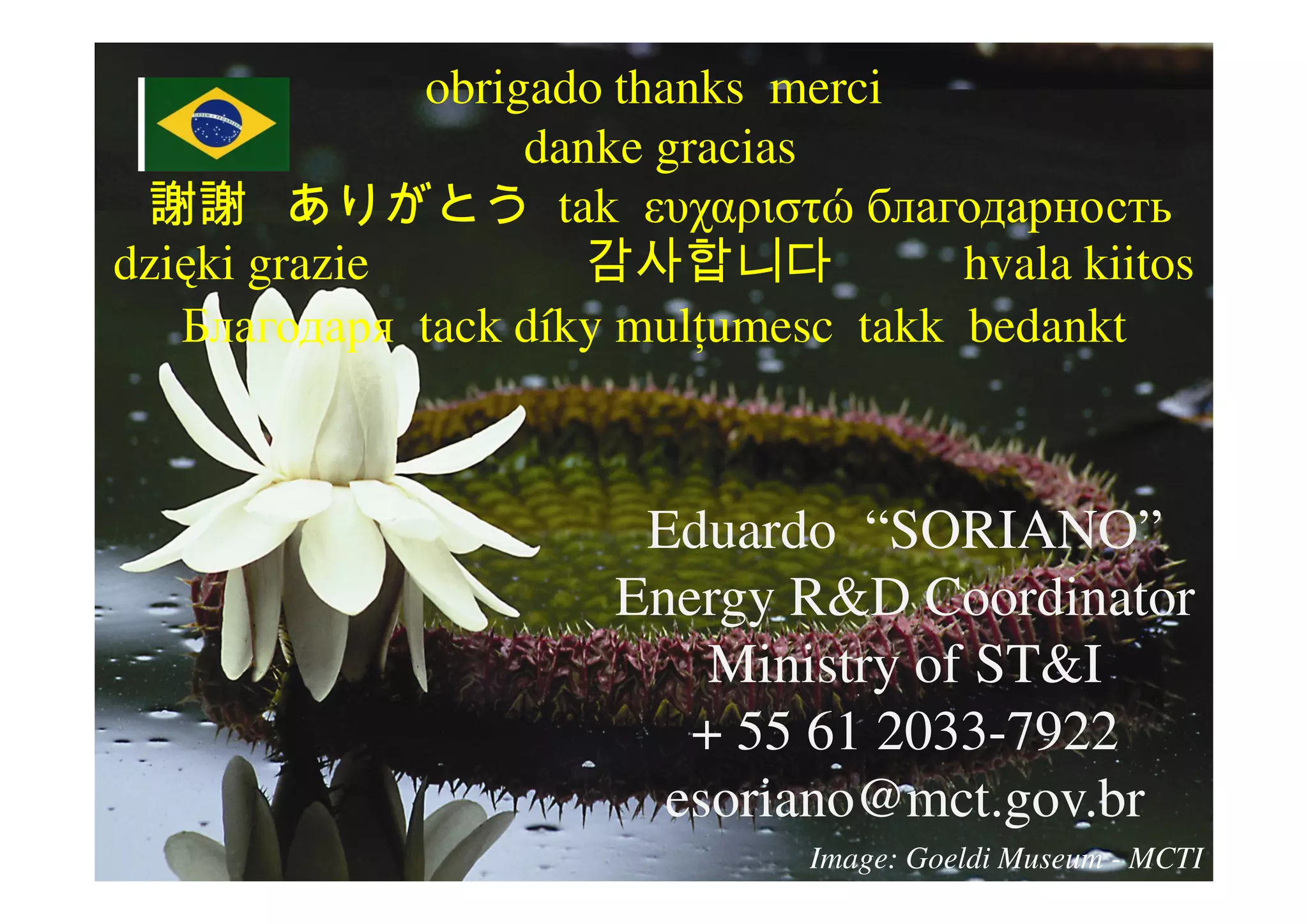 obrigado thanks merci
                   danke gracias
 謝謝 ありがとう tak ευχαριστώ благодарность
dzięki grazie                         hvala kiitos
   Благодаря tack díky mulŃumesc takk bedankt



                        Eduardo “SORIANO”
                       Energy R&D Coordinator
                           Ministry of ST&I
                          + 55 61 2033-7922
                         esoriano@mct.gov.br
                                Image: Goeldi Museum - MCTI
 