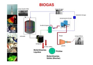 BIOGAS




Biofertilizantes
                             Pirólise
Líquidos

                   Biofertilizantes
                   Sólido (Biochar)
 
