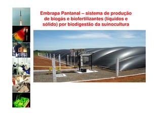 Embrapa Pantanal – sistema de produção
  de biogás e biofertilizantes (líquidos e
 sólido) por biodigestão da suinocultura
 