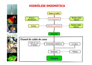 HIDRÓLISE ENZIMÁTICA

                           Bagaço ou palha

       Pentoses                                  Resíduo sólido
                            Pré-tratamento
      Biorefinaria                                 (lignina)


                                                 Resíduo sólido
          Enzima          Hidrólise enzimática
                                                   (lignina)



                              GLICOSE


Etanol de caldo de cana
        Caldo de cana
                        Fermentação Submersa     Levedura
         ou melaço



                              Destilação          Vinhaça



                              Etanol
 