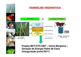 HIDRÓLISE ENZIMÁTICA



                  1 T CANA                   ~
                                             =            1,2 BARRIS PETRÓLEO


                              AÇÚCARES
                                153 KG
                                                  608 x 103 KCAL
                                BAGAÇO
                             (50% UMIDADE)
                                 276 KG           598 x 103 KCAL
                                PALHA (*)
                             (15% UMIDADE)
                                                  512 x 103 KCAL
                                 165 KG
                                                                    1 BARRIL DE PETRÓLEO
  1 T-CAMPO                                                             1386 x 103 KCAL
1718 x 103 KCAL                                  1718 x 103 KCAL




         Projeto MCT/CTC/GEF – Usina Morgiana –
         Geração de Energia Palha de Cana
         (inauguração junho/2011)
 