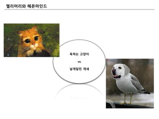 욕하는 고양이
vs
날개달린 개새
젤리머리와 마읶드
 