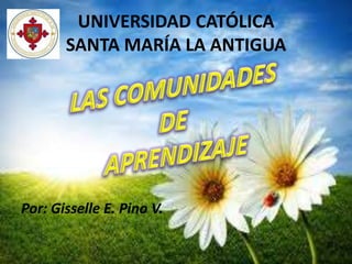 UNIVERSIDAD CATÓLICA
       SANTA MARÍA LA ANTIGUA




Por: Gisselle E. Pino V.
 