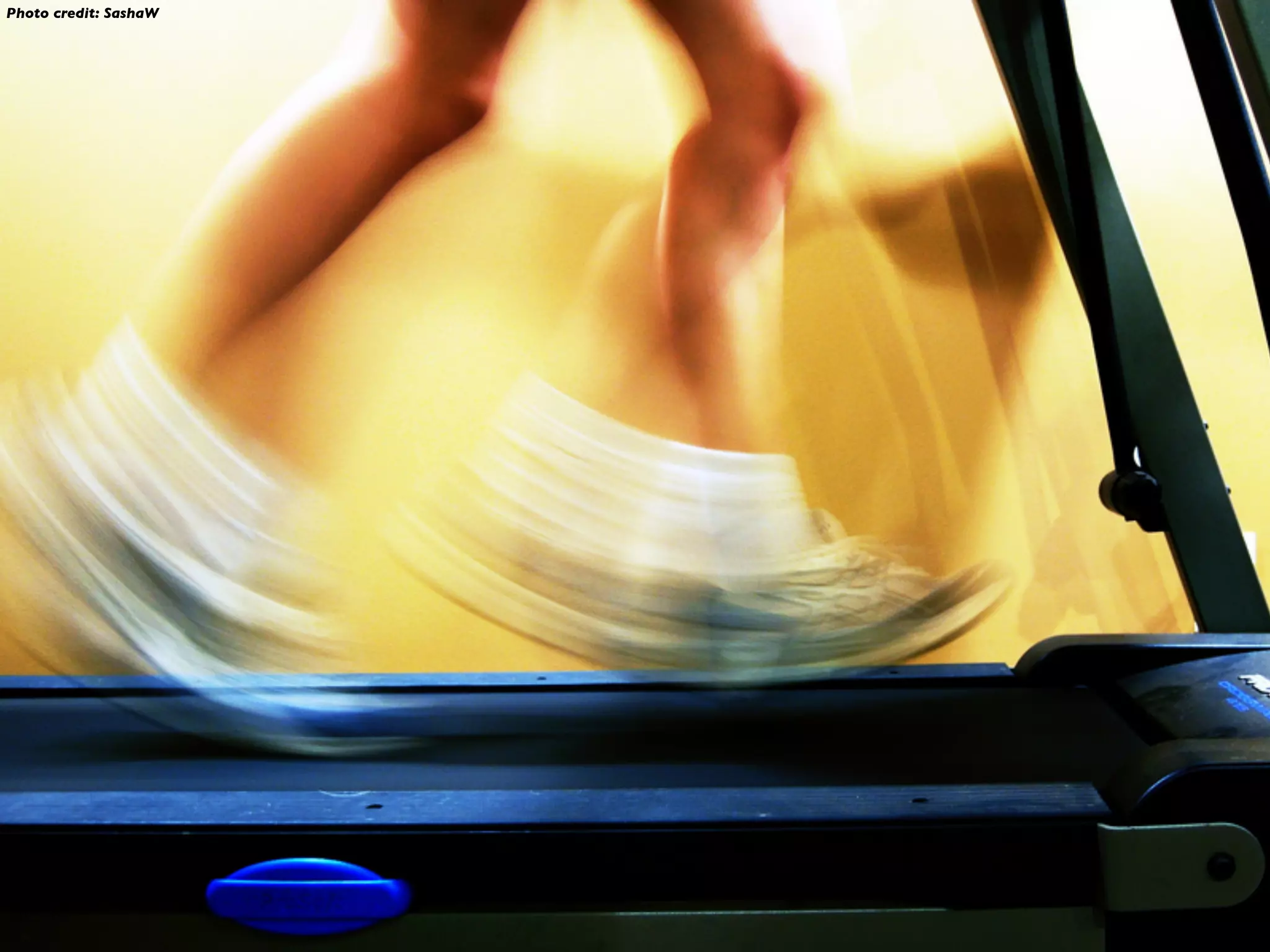 Photo credit: SashaW
 