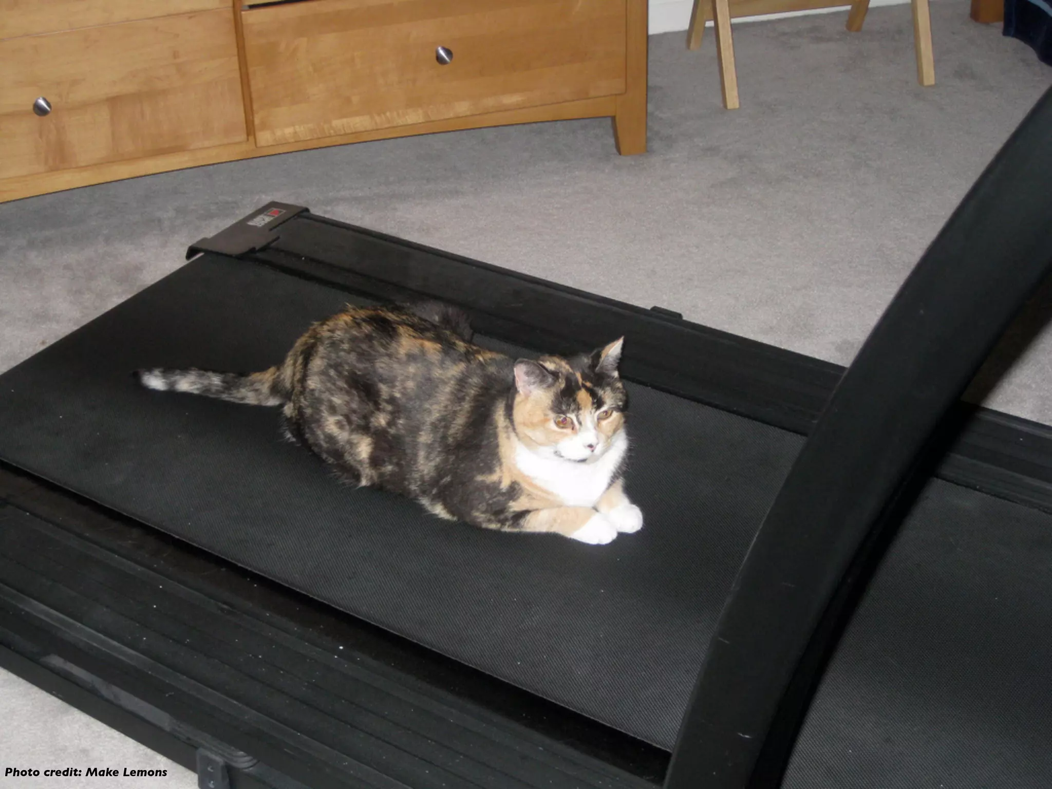 Photo credit: Make Lemons
 