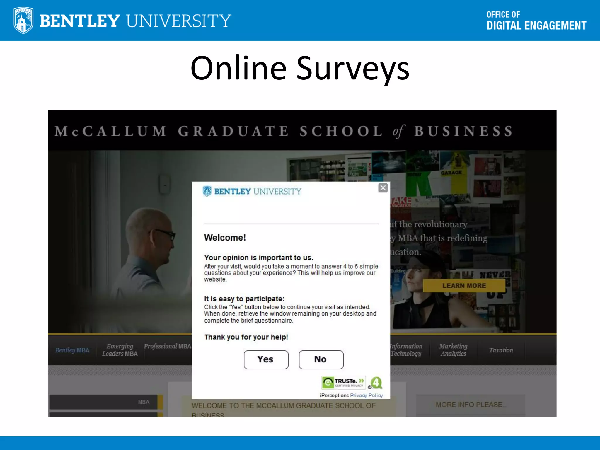 Online Surveys
 