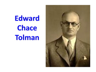 Edward Chace Tolman 