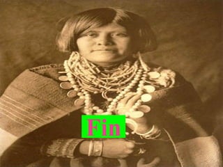 fin Fin 