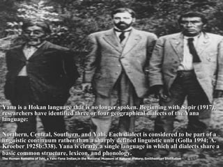 Yana is a Hokan language that is no longer spoken. Beginning with Sapir (1917), researchers have identified three or four geographical dialects of the Yana language: Northern, Central, Southern, and Yahi (fig. 1). Each dialect is considered to be part of a linguistic continuum rather than a sharply defined linguistic unit (Golla 1994; A. Kroeber 1925b:338). Yana is clearly a single language in which all dialects share a basic common structure, lexicon, and phonology. Among the unique linguistic elements found in all Yana dialects is the rare use of gender specific forms, in which the speaker uses different dialects depending on whether he or she is speaking to a man or a woman (Miller 1996:230; A. Kroeber 1925b:337). The fact that Ishi used these conventions is solid evidence of his essential Yana identity. Yana is a Hokan language that is no longer spoken. Beginning with Sapir (1917), researchers have identified three or four geographical dialects of the Yana language:  Northern, Central, Southern, and Yahi. Each dialect is considered to be part of a linguistic continuum rather than a sharply defined linguistic unit (Golla 1994; A. Kroeber 1925b:338). Yana is clearly a single language in which all dialects share a basic common structure, lexicon, and phonology .   The Human Remains of Ishi, a Yahi-Yana Indian,in the National Museum of Natural History, Smithsonian Institution 
