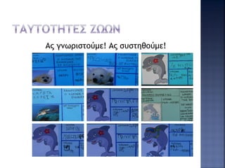 Ας γνωριστούμε! Ας συστηθούμε!
 