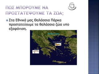  Στα Εθνικά μας Θαλάσσια Πάρκα
προστατεύουμε τα θαλάσσια ζώα υπο
εξαφάνιση.
 