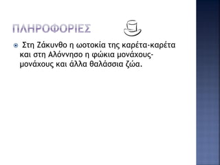  Στη Ζάκυνθο η ωοτοκία της καρέτα-καρέτα
και στη Αλόννησο η φώκια μονάχους-
μονάχους και άλλα θαλάσσια ζώα.
 