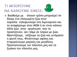  Βοηθούμε με όποιον τρόπο μπορούμε! Αν
δούμε ένα πληγωμένο ζώο στην
παραλία τηλεφωνούμε στο λιμεναρχείο και
το αναφέρουμε στην ΜΟΜ ή αν είναι κάποιο
άλλο ζώο στην οργάνωση που το
προστατεύει. Δεν πάμε σε τσίρκο με ζώα.
Φροντίζουμε, ταΐζουμε τα ζώα και γινόμαστε
η φωνή τους. Φτιάχνουμε αφίσες και
ενημερώνουμε μικρούς και μεγάλους
Προστατεύουμε τον πλανήτη μας και τα
ζωάκια του πλανήτη μας.
 