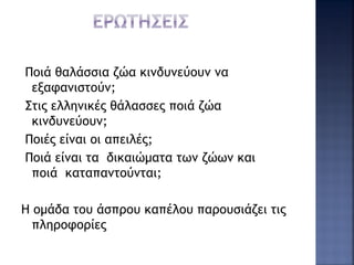 Ποιά θαλάσσια ζώα κινδυνεύουν να
εξαφανιστούν;
Στις ελληνικές θάλασσες ποιά ζώα
κινδυνεύουν;
Ποιές είναι οι απειλές;
Ποιά είναι τα δικαιώματα των ζώων και
ποιά καταπαντούνται;
Η ομάδα του άσπρου καπέλου παρουσιάζει τις
πληροφορίες
 