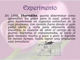 Experimento En 1898, Thorndike, quería determinar como aprendían los gatos para lo cual, coloco un gato hambriento en espacios estrechos de la caja problema, con comida fuera donde el gato podía olerla y verla para obtenerla debía encontrar la manera de abrir el cerrojo de la puerta, mientras el cronometraba, al inicio el gato tardaba mucho y poco a poco lo lograba en menos tiempo, hasta lograr una respuesta casi inmediata.