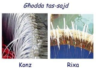 Għodda tas-sajd Konz Rixa 