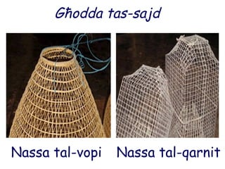 Għodda tas-sajd Nassa tal-vopi Nassa tal-qarnit 