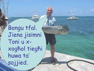 Bonġu tfal.  Jiena jisimni Toni u x-xogħol tiegħi huwa ta’ sajjied. 