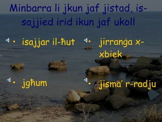 Minbarra li jkun jaf jistad, is-sajjied irid ikun jaf ukoll isajjar il-ħut jgħum jirranġa x-xbiek jisma’ r-radju 