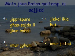 Meta jkun ħafna maltemp, is-sajjied jipprepara għas-sajda li jkun imiss imur jgħum jiekol ikla ħut imur jistad 