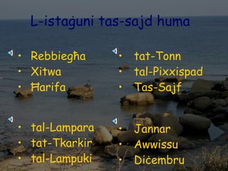 L-istaġuni tas-sajd huma Rebbiegħa Xitwa Ħarifa tal-Lampara tat-Tkarkir tal-Lampuki tat-Tonn tal-Pixxispad Tas-Sajf Jannar Awwissu Diċembru 