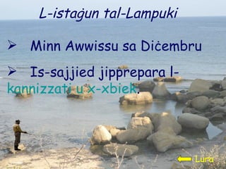 L-istaġun tal-Lampuki Lura Minn Awwissu sa Diċembru Is-sajjied jipprepara l-  kannizzati u x-xbiek . 
