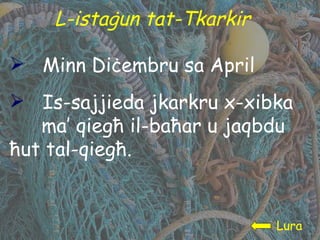 L-istaġun tat-Tkarkir Lura Minn Diċembru sa April Is-sajjieda jkarkru x-xibka  ma’ qiegħ il-baħar u jaqbdu  ħut tal-qiegħ. 