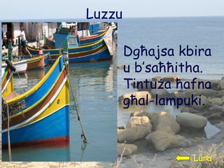 Luzzu Dgħajsa kbira u b’saħħitha.  T intuża ħafna għal-lampuki. Lura 