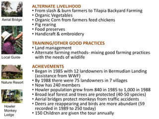 ALTERNATE LIVELIHOOD
                • From slash & burn farmers to Tilapia Backyard Farming
                • Organic Vegetables
Aerial Bridge   • Organic Corn from farmers feed chickens
                • Pig rearing
                • Food preserves
                • Handicraft & embroidery
                TRAINING/OTHER GOOD PRACTICES
                • Land management
                • Alternate farming methods- mixing good farming practices
Local Guide       with the needs of wildlife
                ACHIEVEMENTS
                • Began in 1985 with 12 landowners in Bermudian Landing
                  (assistance from WWF)
Nature Resort   • By 1988 there were 75 landowners in 7 villages
                • Now has 240 members
                • Howler population grew from 840 in 1985 to 1,000 in 1988
                • Broad leaf forest and trees are protected (40-50 species)
                • Aerial bridges protect monkeys from traffic accidents
 Howler
                • Deers are reappearing and birds are more abundant (59
 Monkey
                  recorded in 1989 to 250 today)
 Lodge          • 150 Children are given the tour annually
 