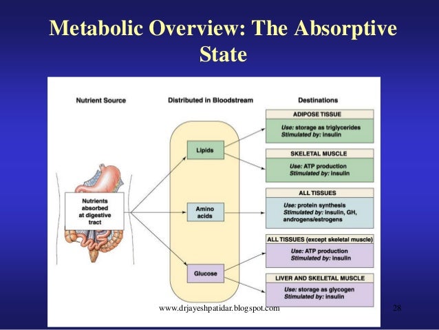 What is the ideal blood sugar level? picture