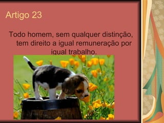 Artigo 23

Todo homem, sem qualquer distinção,
  tem direito a igual remuneração por
             igual trabalho.
 