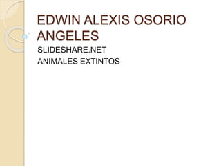 EDWIN ALEXIS OSORIO
ANGELES
SLIDESHARE.NET
ANIMALES EXTINTOS
 