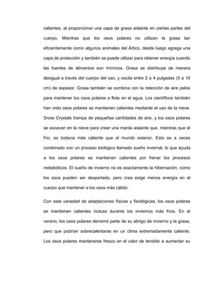 calientes, al proporcionar una capa de grasa aislante en ciertas partes del

cuerpo. Mientras que los osos polares no utilizan la grasa tan

eficientemente como algunos animales del Ártico, desde luego agrega una

capa de protección y también se puede utilizar para obtener energía cuando

las fuentes de alimentos son mínimos. Grasa se distribuye de manera

desigual a través del cuerpo del oso, y oscila entre 2 a 4 pulgadas (5 a 10

cm) de espesor. Grasa también se combina con la retención de aire pelos

para mantener los osos polares a flote en el agua. Los científicos también

han visto osos polares se mantienen calientes mediante el uso de la nieve.

Snow Crystals trampa de pequeñas cantidades de aire, y los osos polares

se excavan en la nieve para crear una manta aislante que, mientras que el

frío, es todavía más caliente que el mundo exterior. Esto es a veces

combinado con un proceso biológico llamado sueño invernal, lo que ayuda

a los osos polares se mantienen calientes por frenar los procesos

metabólicos. El sueño de invierno no es exactamente la hibernación, como

los osos pueden ser despertado, pero crea exige menos energía en el

cuerpo que mantener a los osos más cálido.


Con esta variedad de adaptaciones físicas y fisiológicas, los osos polares

se mantienen calientes incluso durante los inviernos más fríos. En el

verano, los osos polares derramó parte de su abrigo de invierno y la grasa,

pero que podrían sobrecalentarse en un clima extremadamente caliente.

Los osos polares mantenerse fresco en el calor de tendido a aumentar su
 