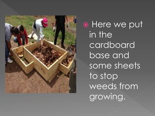  Here we put
in the
cardboard
base and
some sheets
to stop
weeds from
growing.
 
