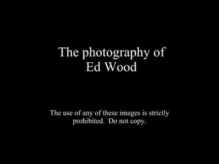 The photography of Ed Wood The use of any of these images is strictly prohibited.  Do not copy. 