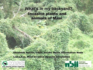 Invasive plants and animals of Maui   Elizabeth Speith, USGS Pacific Basin Information Node Lissa Fox, Maui Invasive Species Committee What’s in my backyard?  Pacific Basin Information Node https://pbin.nbii.gov 