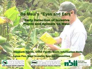 Be Maui’s “Eyes and Ears”   Early Detection of Invasive Plants and Animals on Maui   Elizabeth Speith, USGS Pacific Basin Information Node Lyssa Fox, Maui Invasive Species Committee Pacific Basin Information Node https://pbin.nbii.gov 