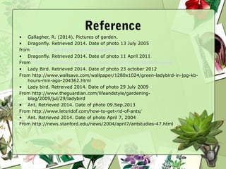 Reference
• Gallagher, R. (2014). Pictures of garden.
• Dragonfly. Retrieved 2014. Date of photo 13 July 2005
from http://en.wikipedia.org/wiki/Dragonfly
• Dragonfly. Retrieved 2014. Date of photo 11 April 2011
From http://candidkerry.wordpress.com/2011/04/12/dragonfly-eyes/
• Lady Bird. Retrieved 2014. Date of photo 23 october 2012
From http://www.wallsave.com/wallpaper/1280x1024/green-ladybird-in-jpg-kb-
hours-min-ago-204362.html
• Lady bird. Retreived 2014. Date of photo 29 July 2009
From http://www.theguardian.com/lifeandstyle/gardening-
blog/2009/jul/29/ladybird
• Ant. Retrieved 2014. Date of photo 09.Sep.2013
From http://www.letsridof.com/how-to-get-rid-of-ants/
• Ant. Retrieved 2014. Date of photo April 7, 2004
From http://news.stanford.edu/news/2004/april7/antstudies-47.html
 